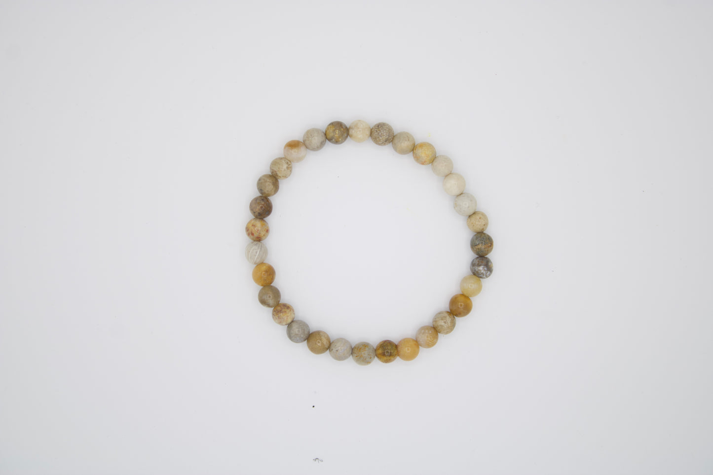Versteinerte Koralle Armband