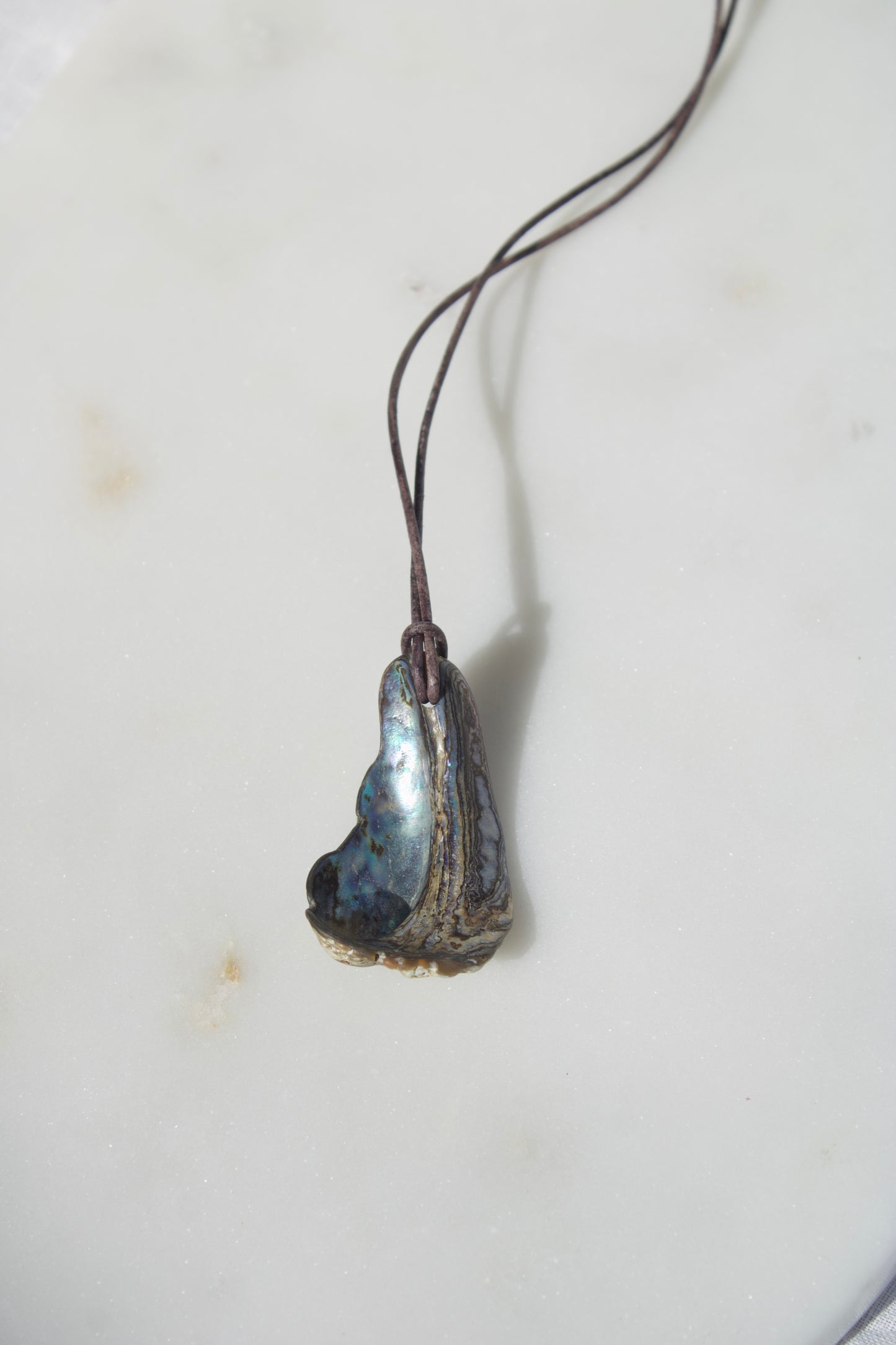 Abalone 2