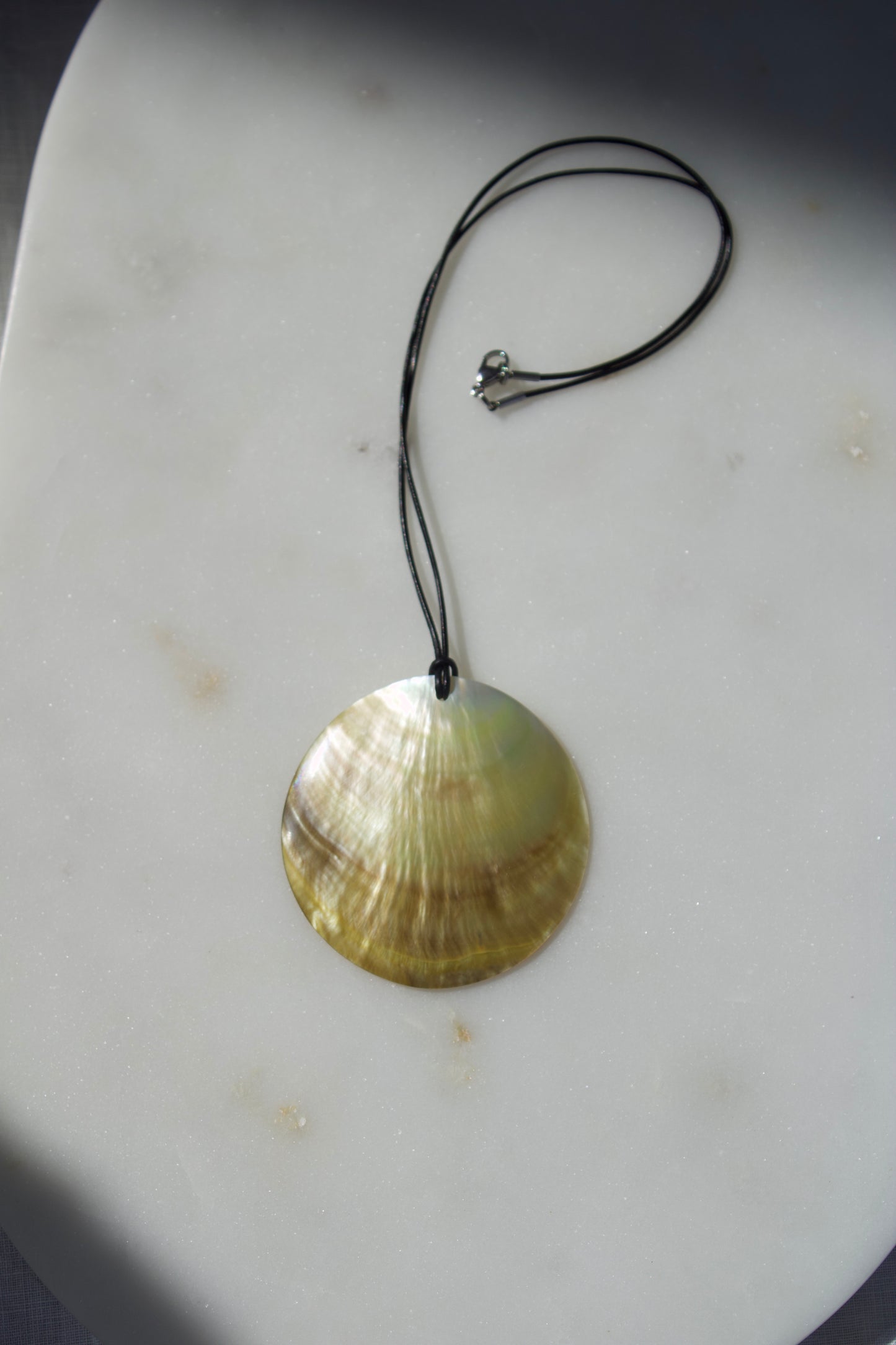Concha amarela