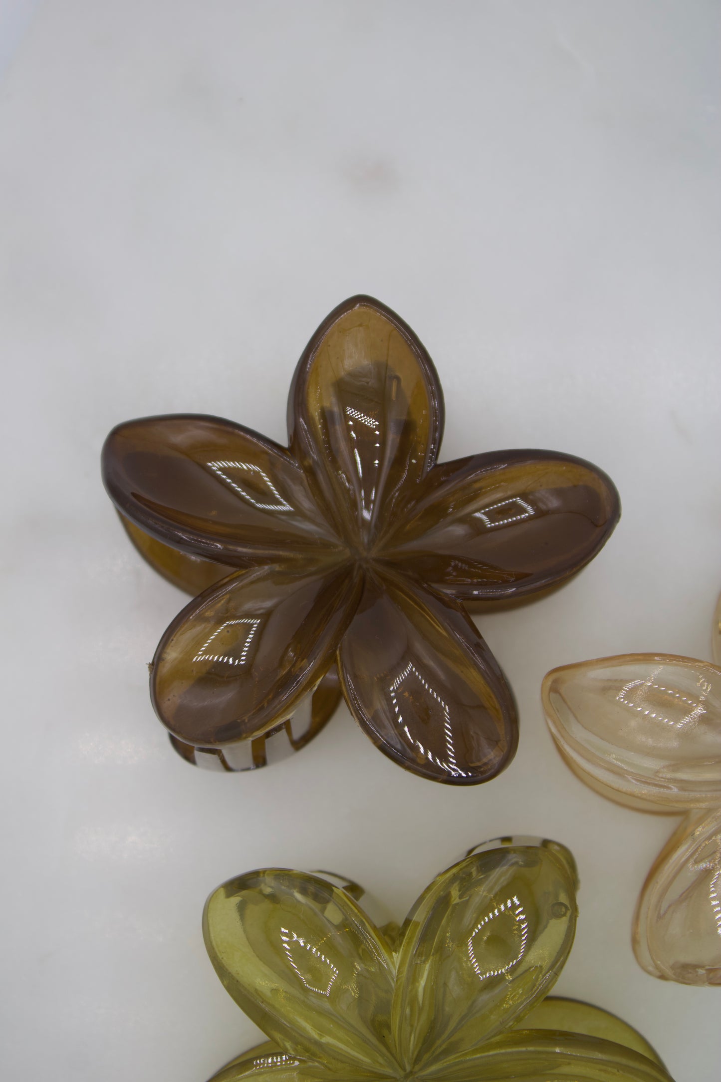 Flower Claw Coffee Shop