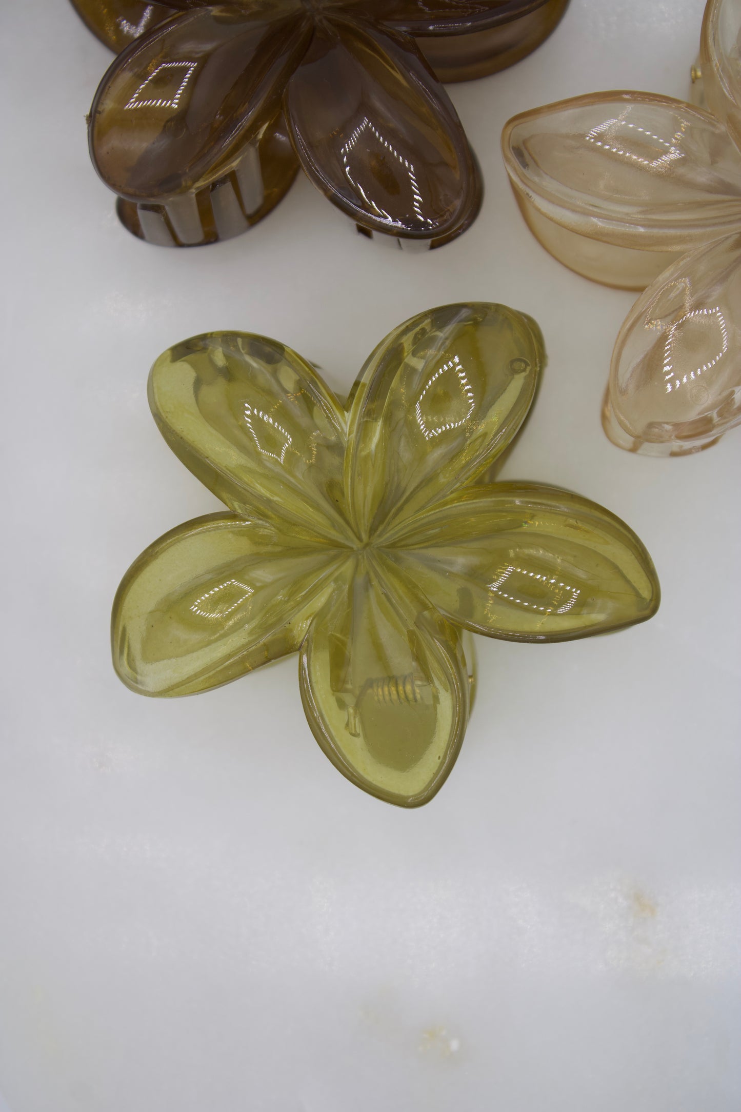 Flower Claw Coffee Shop