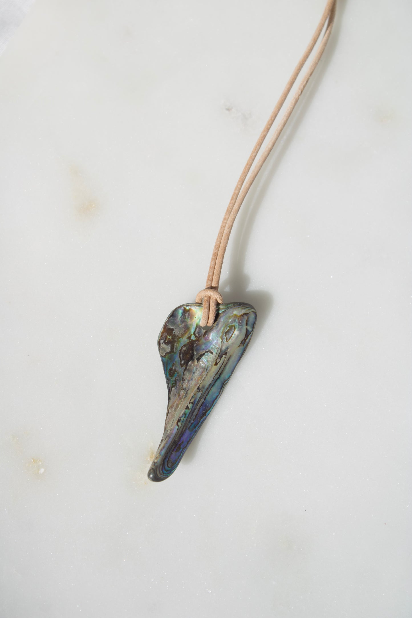 Abalone 1
