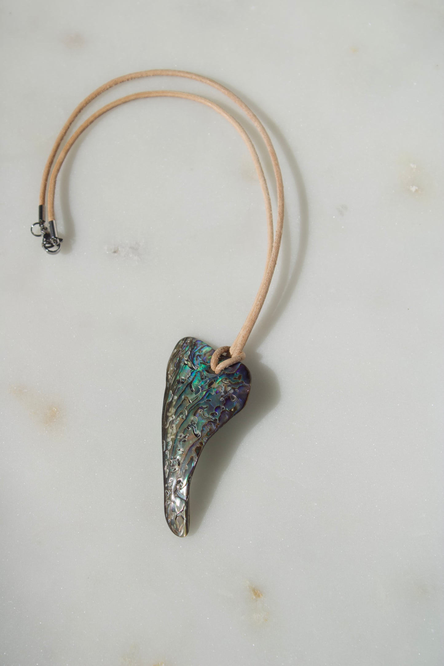 Abalone 1