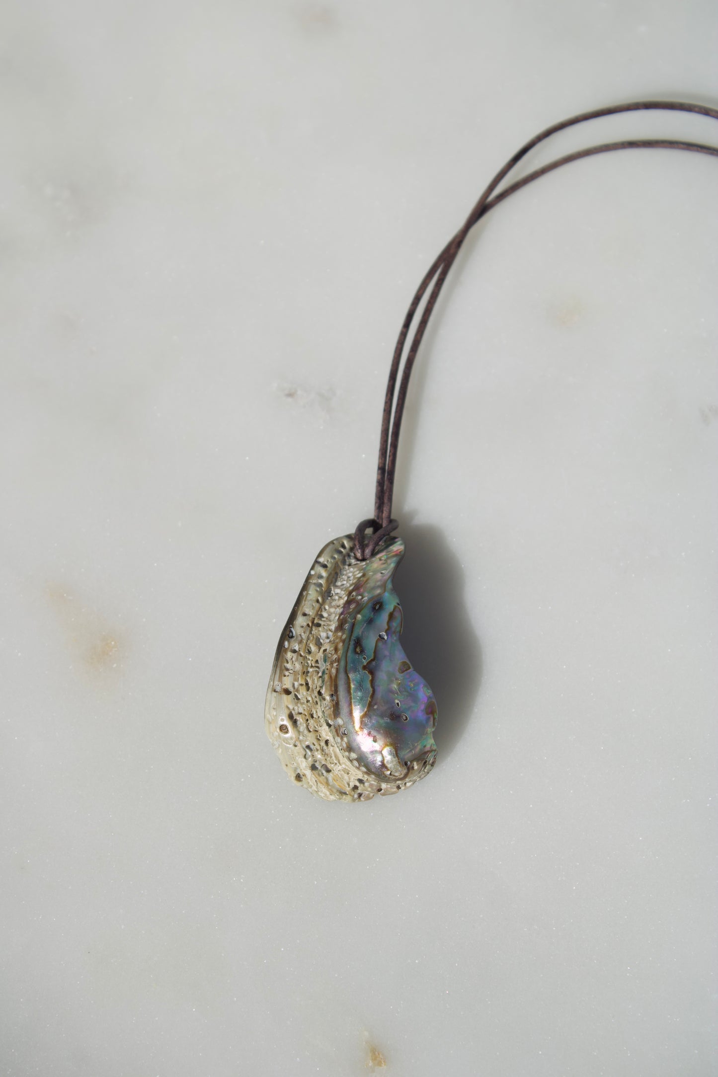 Abalone 2