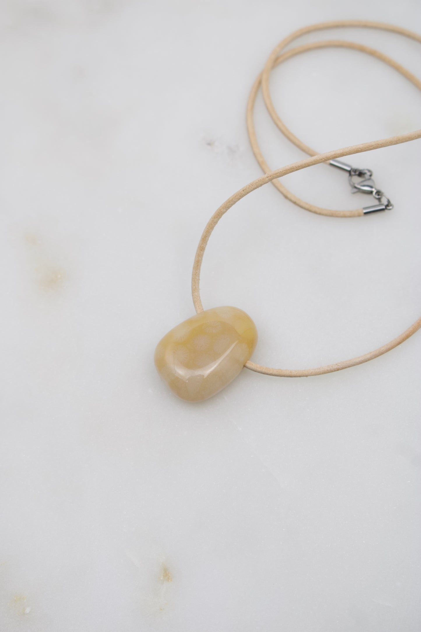 Versteinerte Koralle I