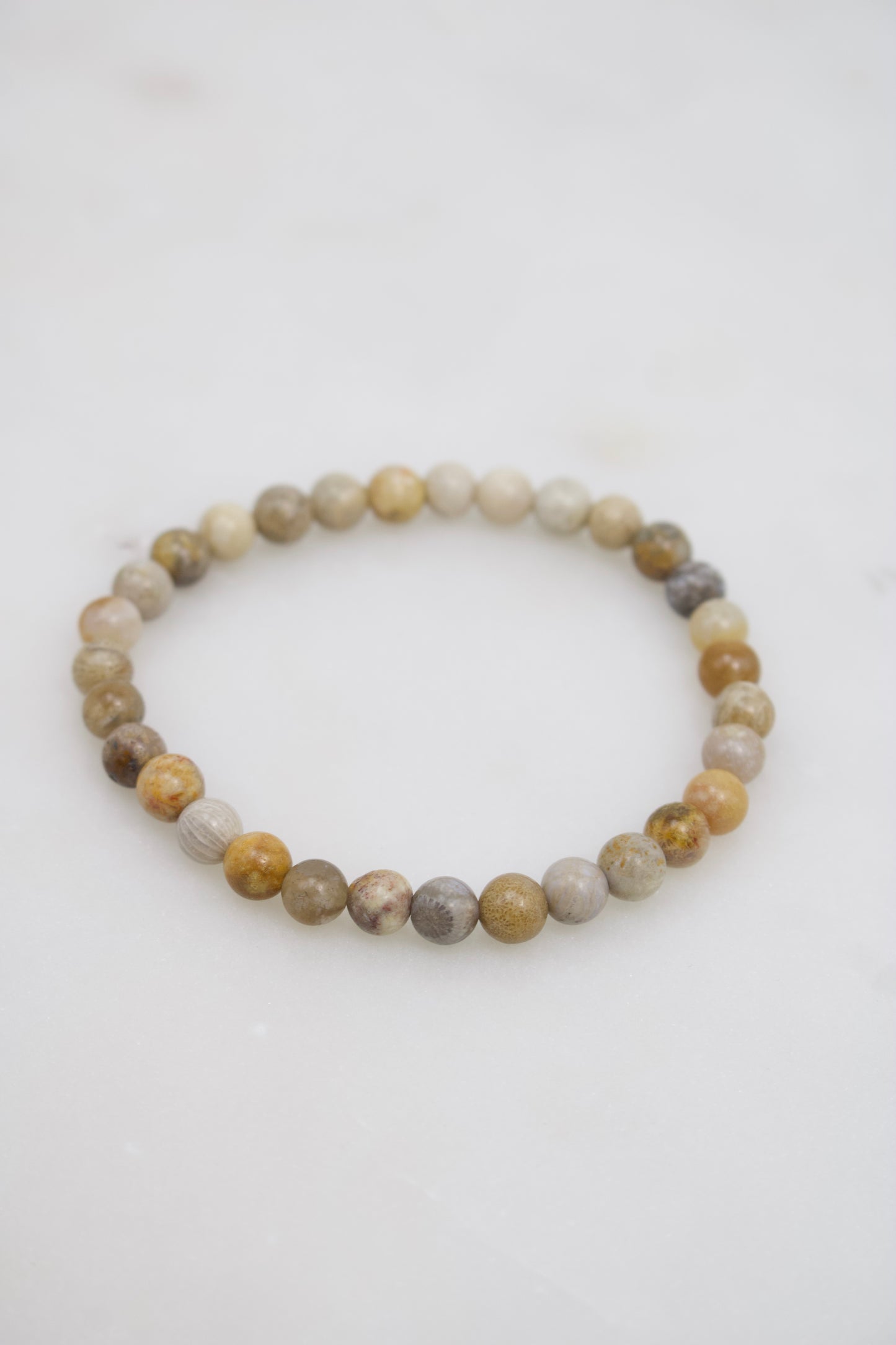 Versteinerte Koralle Armband