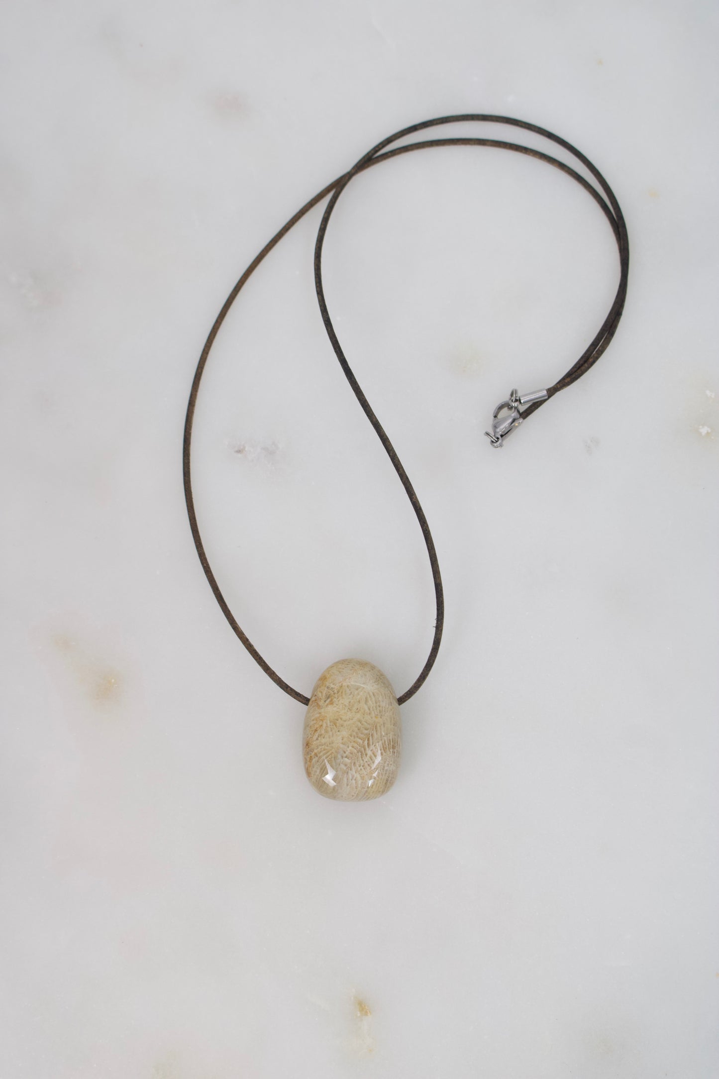 Versteinerte Koralle II