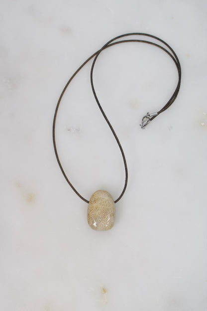 Versteinerte Koralle II