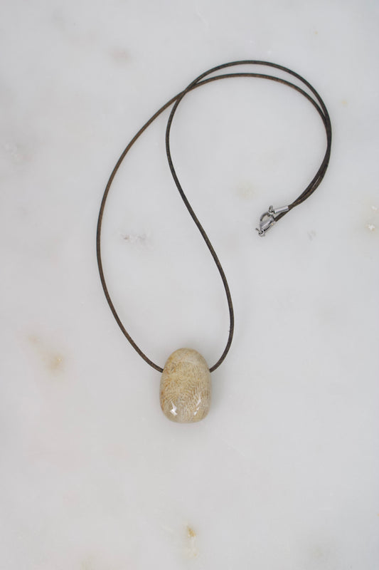 Versteinerte Koralle II