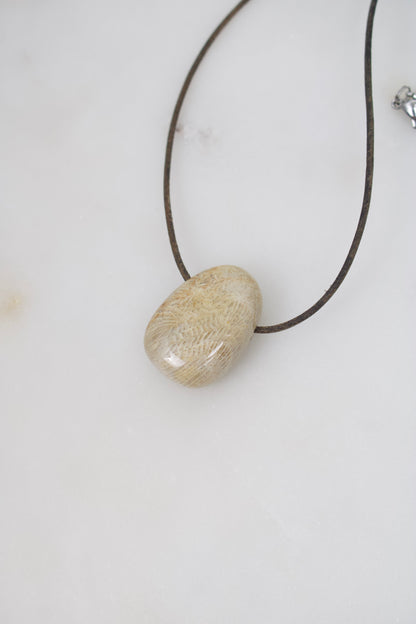 Versteinerte Koralle II