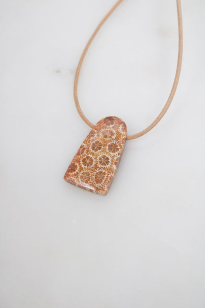 Versteinerte Koralle Freeform